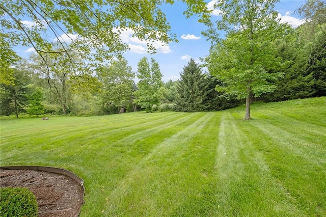 414 Lenox Ct, Richland, PA 15044 - photo 48