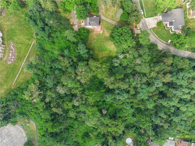 30 Forsythe Rd, Pa, PA 15220 - photo 32