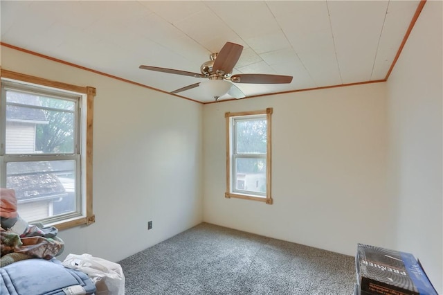 736 Penn Ave, Midland Boro, PA 15059 - photo 23