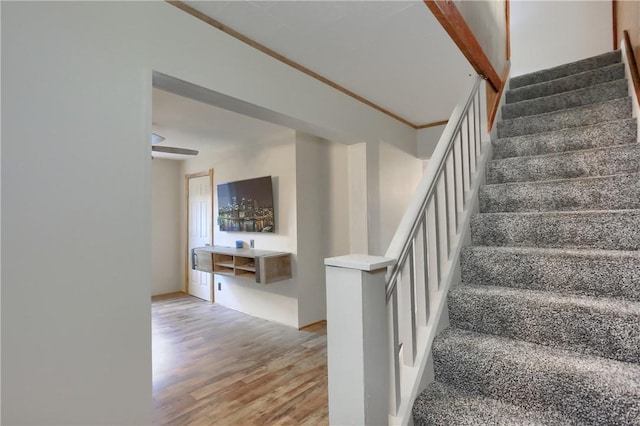 736 Penn Ave, Midland Boro, PA 15059 - photo 19