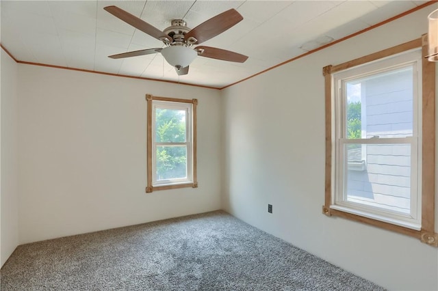 736 Penn Ave, Midland Boro, PA 15059 - photo 22