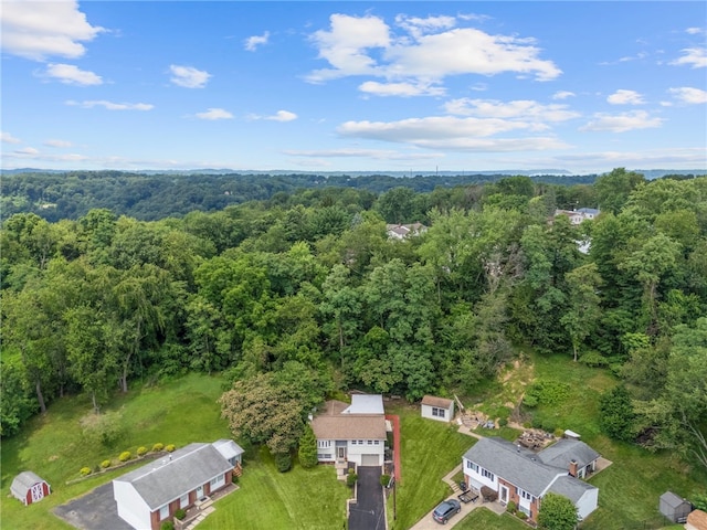224 Laura Lee Dr, Moon/Crescent Twp, PA 15108 - photo 50