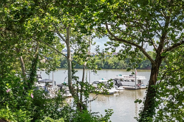 87 Waterfront Dr, Washingtons Landing, PA 15222 - photo 45