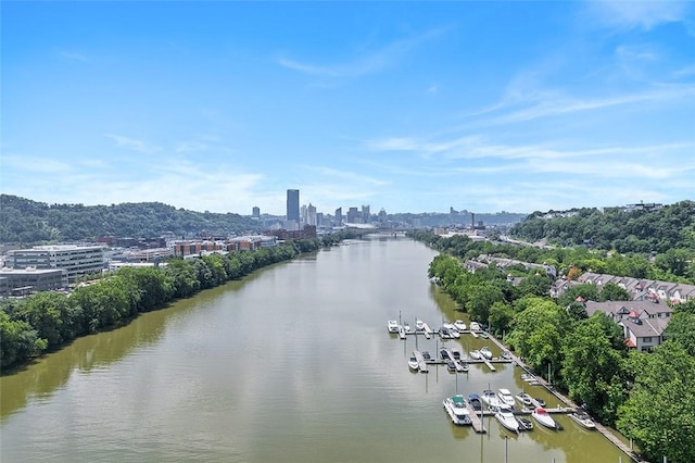 87 Waterfront Dr, Washingtons Landing, PA 15222 - photo 40