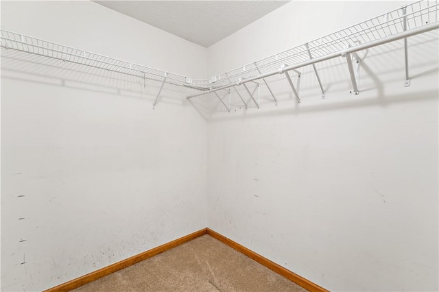 113 Bower Hill Rd, Peters Twp, PA 15367 - photo 19