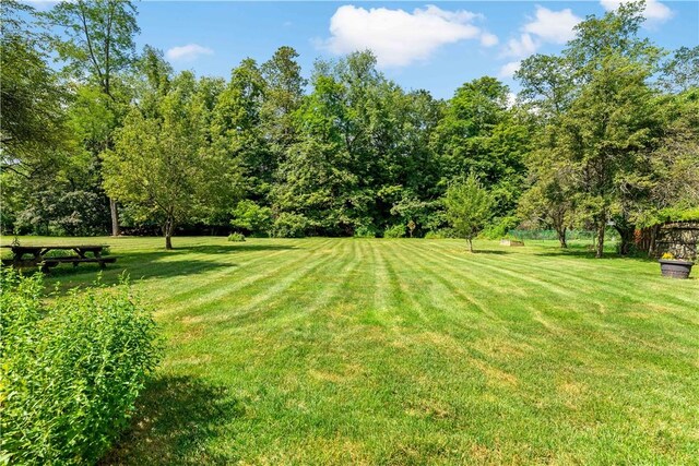 113 Bower Hill Rd, Peters Twp, PA 15367 - photo 35