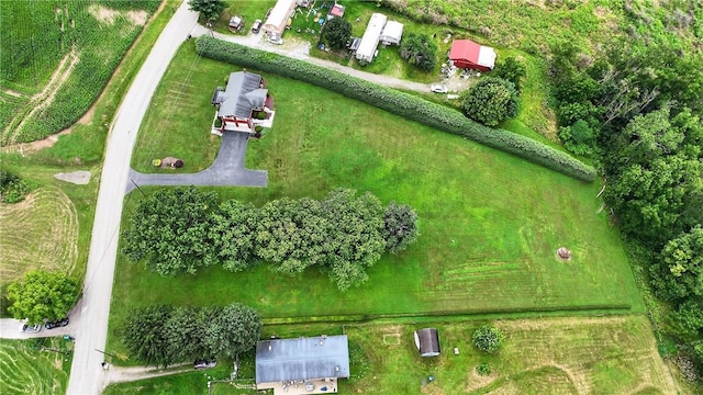 341 Turkeytown Rd, West Newton, PA 15089 - photo 4