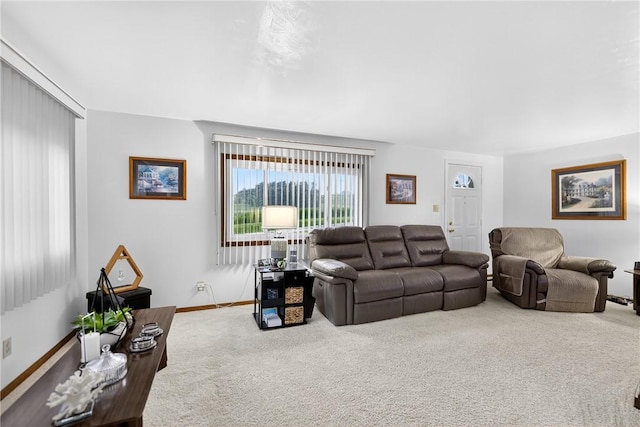 341 Turkeytown Rd, West Newton, PA 15089 - photo 9