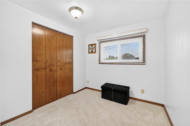 341 Turkeytown Rd, West Newton, PA 15089 - photo 11