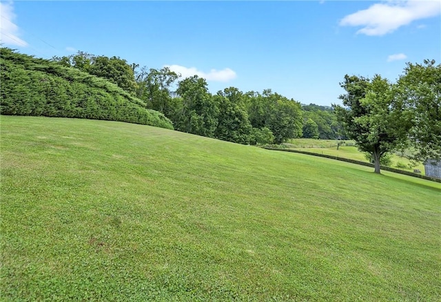 341 Turkeytown Rd, West Newton, PA 15089 - photo 25