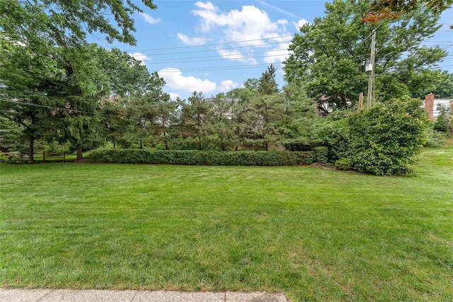 1810 Tyris Dr, Saint Clair, PA 15241 - photo 35