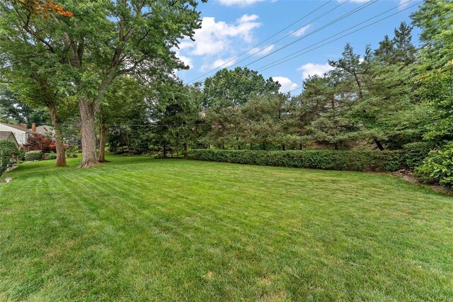 1810 Tyris Dr, Saint Clair, PA 15241 - photo 36