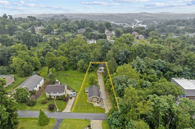 112 Braun Dr, Peters Twp, PA 15317 - photo 47