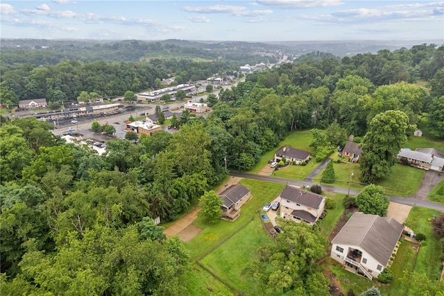112 Braun Dr, Peters Twp, PA 15317 - photo 48