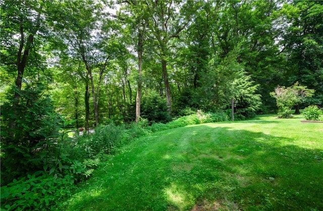 124 Oak Dr, Saxonburg, PA 16056 - photo 24