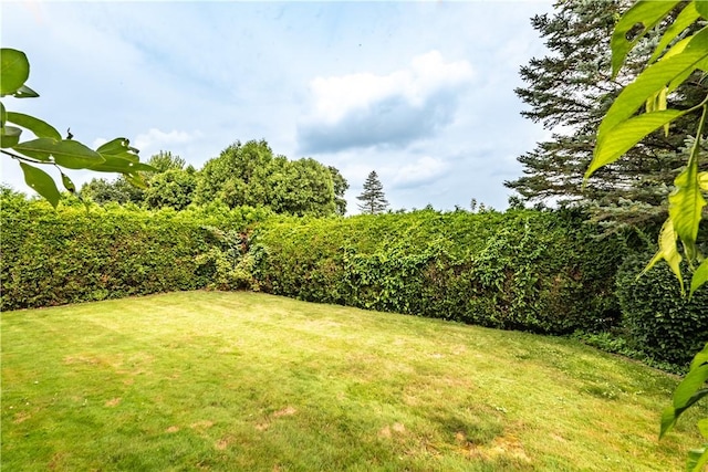 208 E Christie Ave, City Of But Se, PA 16001 - photo 35