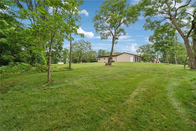 353 Linnwood Rd, North Strabane, PA 15330 - photo 34