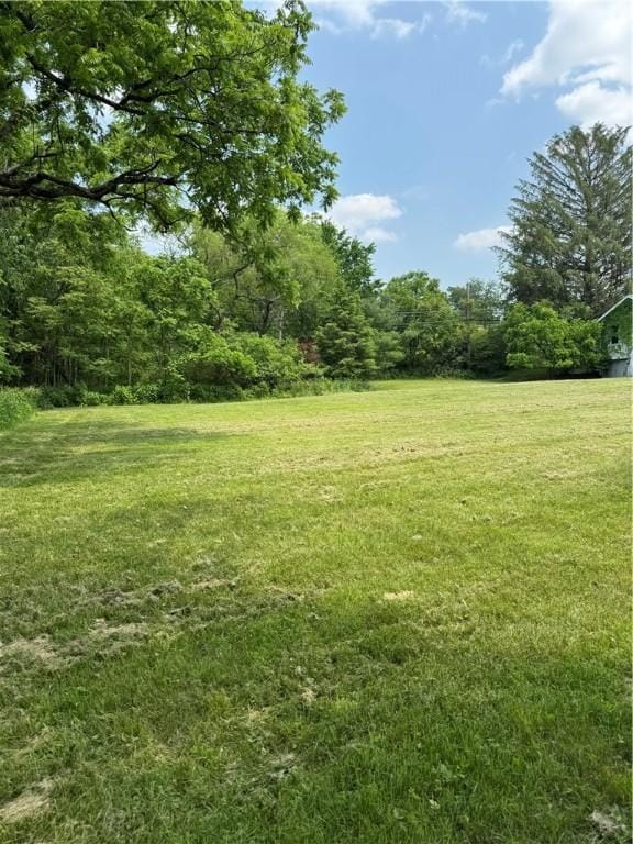1442 Old Indiana Rd, Burrel/Blacklick, PA 15716 - photo 6