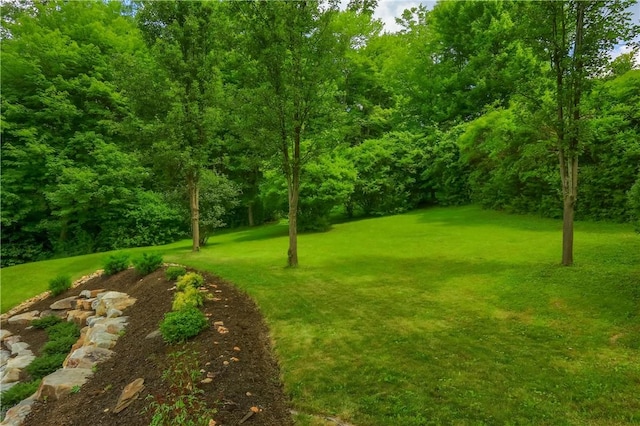 509 Sharon Rd, Moon/Crescent Twp, PA 15108 - photo 47