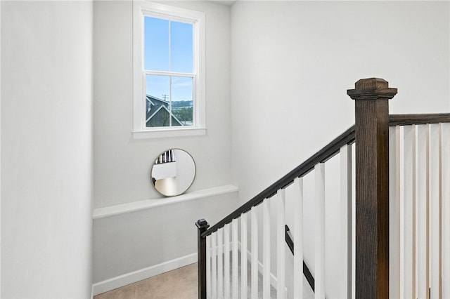 103 Spruce Ln, North Strabane, PA 15317 - photo 6