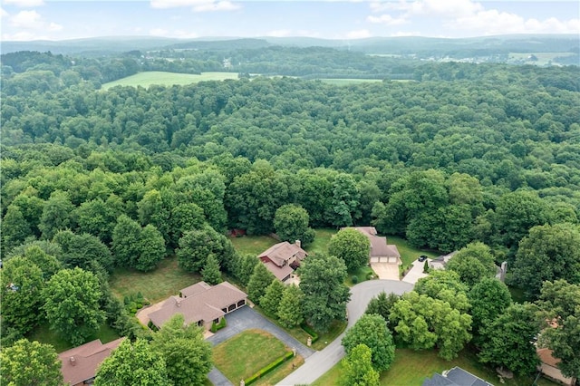 105 Ojibwa Dr, Center Twp, PA 16001 - photo 41