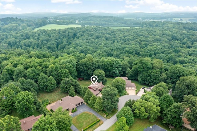 105 Ojibwa Dr, Center Twp, PA 16001 - photo 39