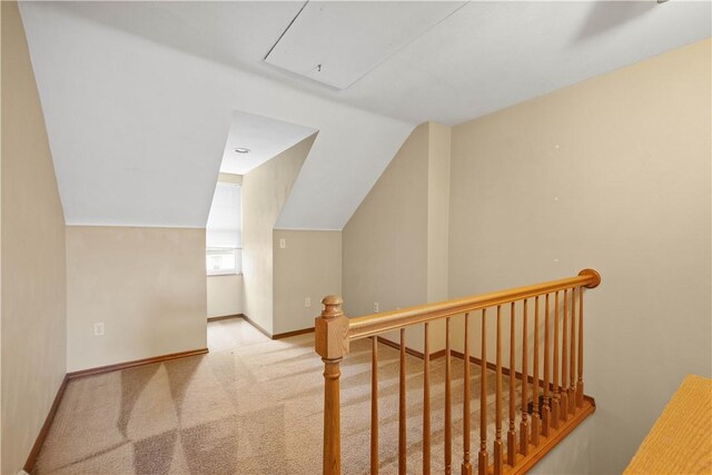 2810 Sarah St, South Side, PA 15203 - photo 14