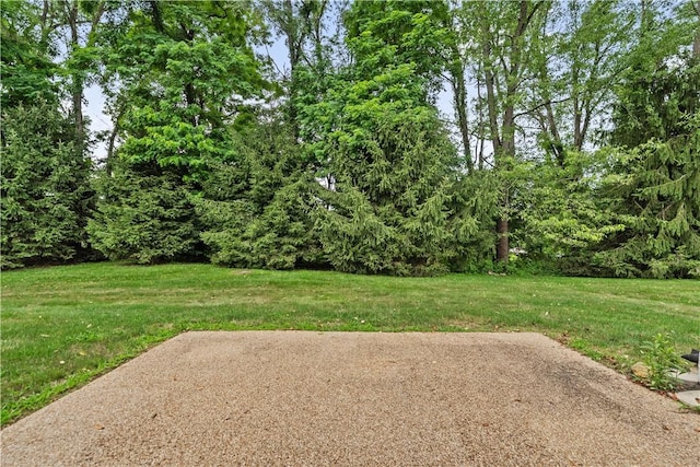 19 Dogwood Dr, Canton Twp, PA 15301 - photo 5