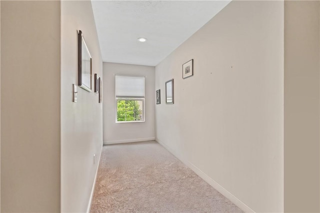 19 Dogwood Dr, Canton Twp, PA 15301 - photo 33
