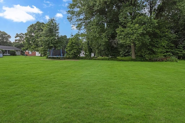 930 Cleland Mill Rd, North Beaver Twp, PA 16102 - photo 3
