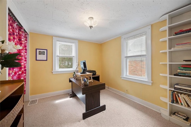 529 Allenby Ave, Regent Square, PA 15218 - photo 19