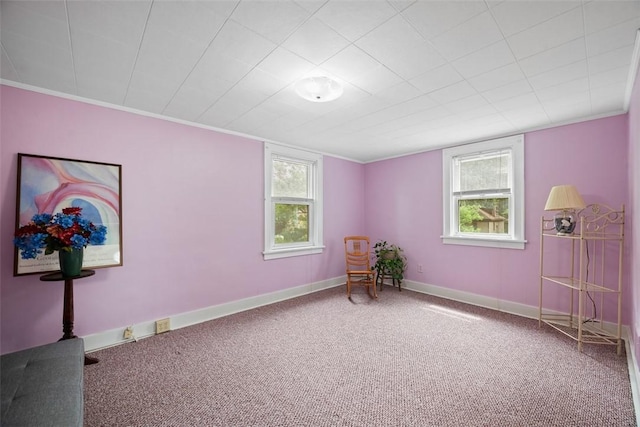 529 Allenby Ave, Regent Square, PA 15218 - photo 21