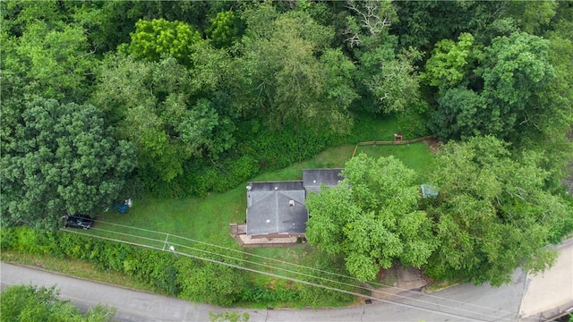 2040 Spooky Hollow Rd, Lower Burrell, PA 15068 - photo 5