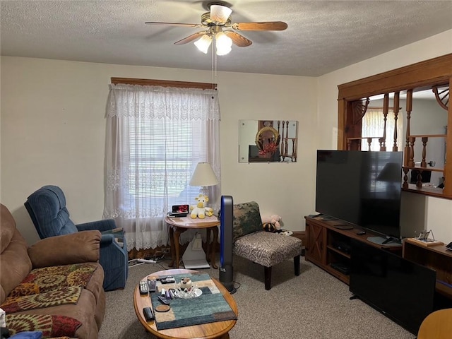 97 S Mercer St, Greenville Boro, PA 16125 - photo 6