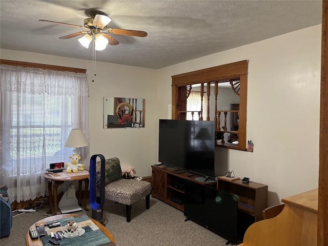 97 S Mercer St, Greenville Boro, PA 16125 - photo 7