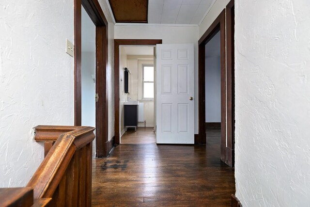 316 Winterhill St, Brookline, PA 15226 - photo 19