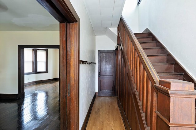 316 Winterhill St, Brookline, PA 15226 - photo 4