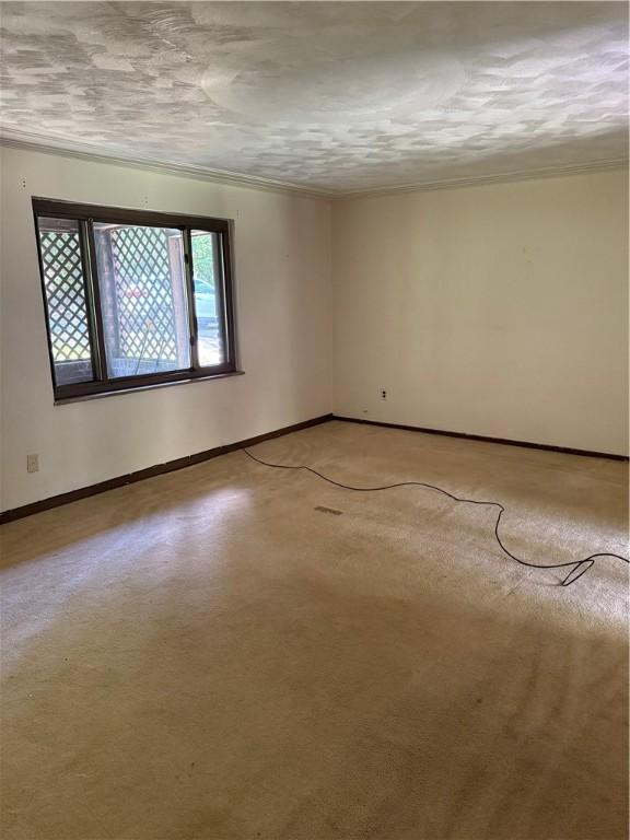 1835 Orchid Pl, Lincoln Place, PA 15207 - photo 10