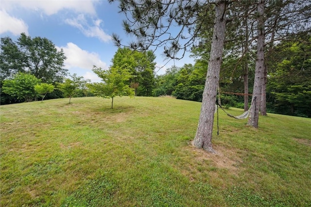 258 Johns Rd, East Franklin Twp, PA 16201 - photo 42