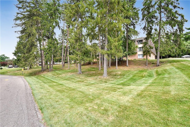 331 Forest Green Dr, Coraopolis, PA 15108 - photo 2