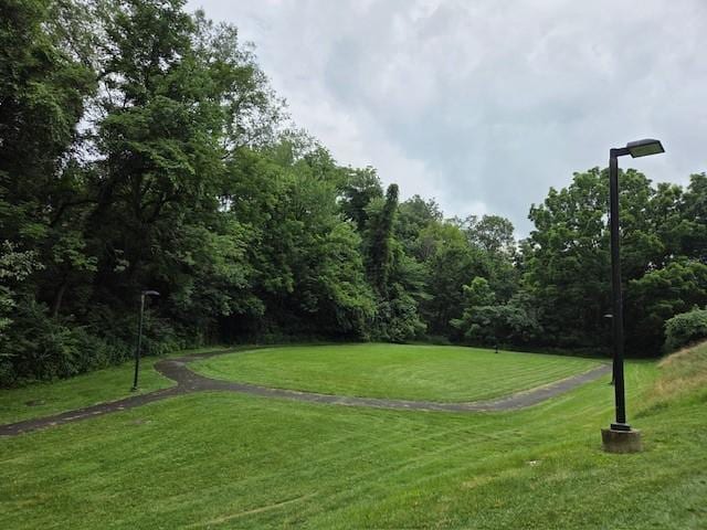 1808 Sillview Dr, Saint Clair, PA 15243 - photo 33