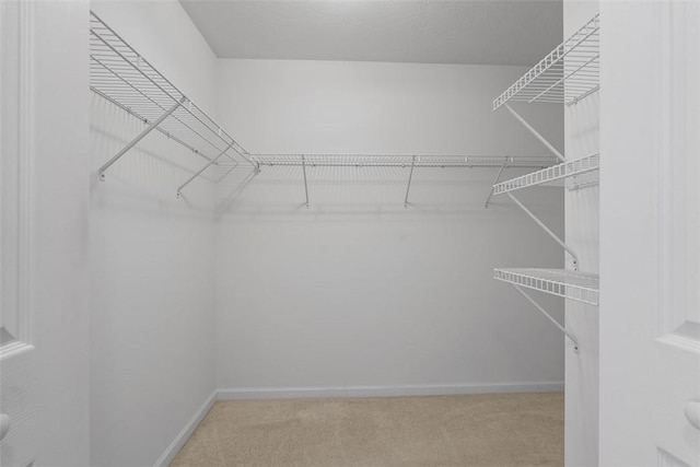 903 Hidden Meadows Cir, Connoquenessing Twp, PA 16053 - photo 31