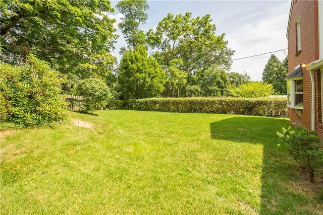 1413 Terrace Dr, Mt Lebanon, PA 15228 - photo 18