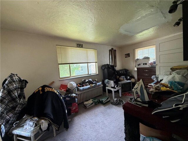 309 Bausman St, Mount Oliver, PA 15210 - photo 10