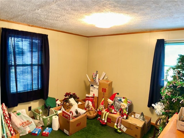 461 Walnut Hill Rd, South Union Twp, PA 15401 - photo 24