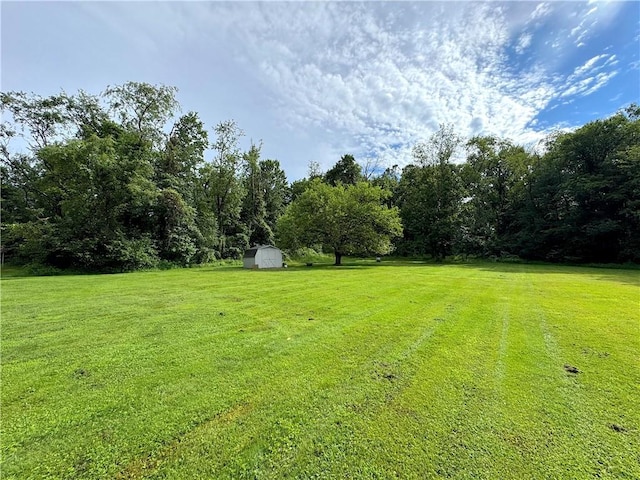 1907 Bethel Church Rd, Unity Twp, PA 15650 - photo 40