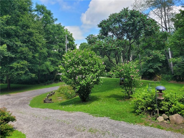 265 Pew Rd, Delaware Twp, PA 16137 - photo 36
