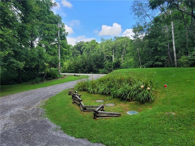 265 Pew Rd, Delaware Twp, PA 16137 - photo 28