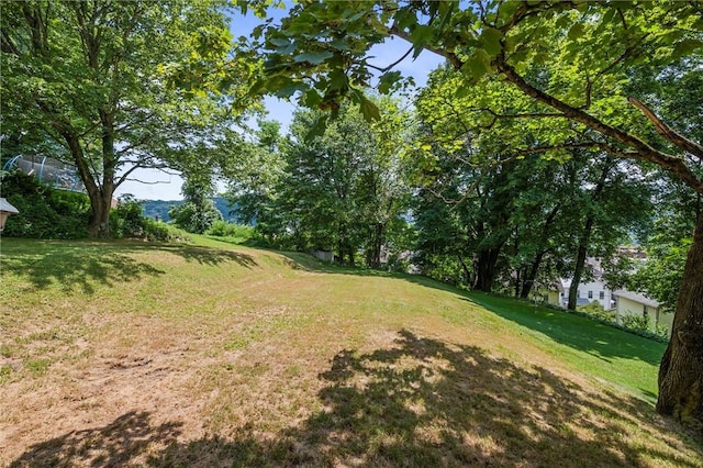 118 Washington St, Freeport Boro, PA 16229 - photo 27