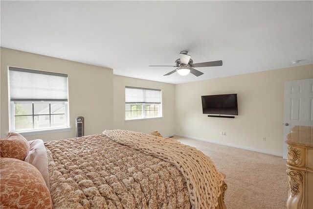 101 Cara Lin Dr, Forest Hills Boro, PA 15221 - photo 25